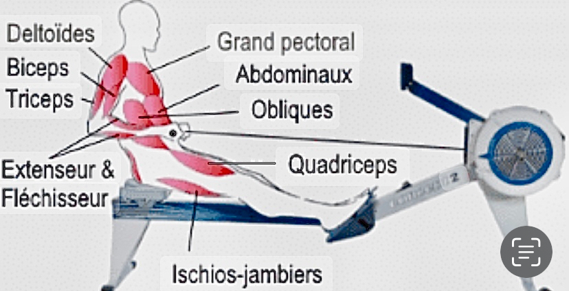 Entraînement Ergo - Jeudi 4 Décembre - 18h00