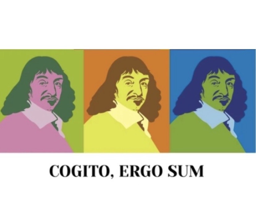 Entrainement Ergo - Jeudi 19 Mars  19h00