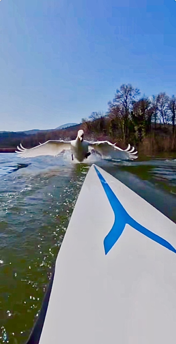 Entraînement pour tous - Dimanche 22 Mars - 9h30