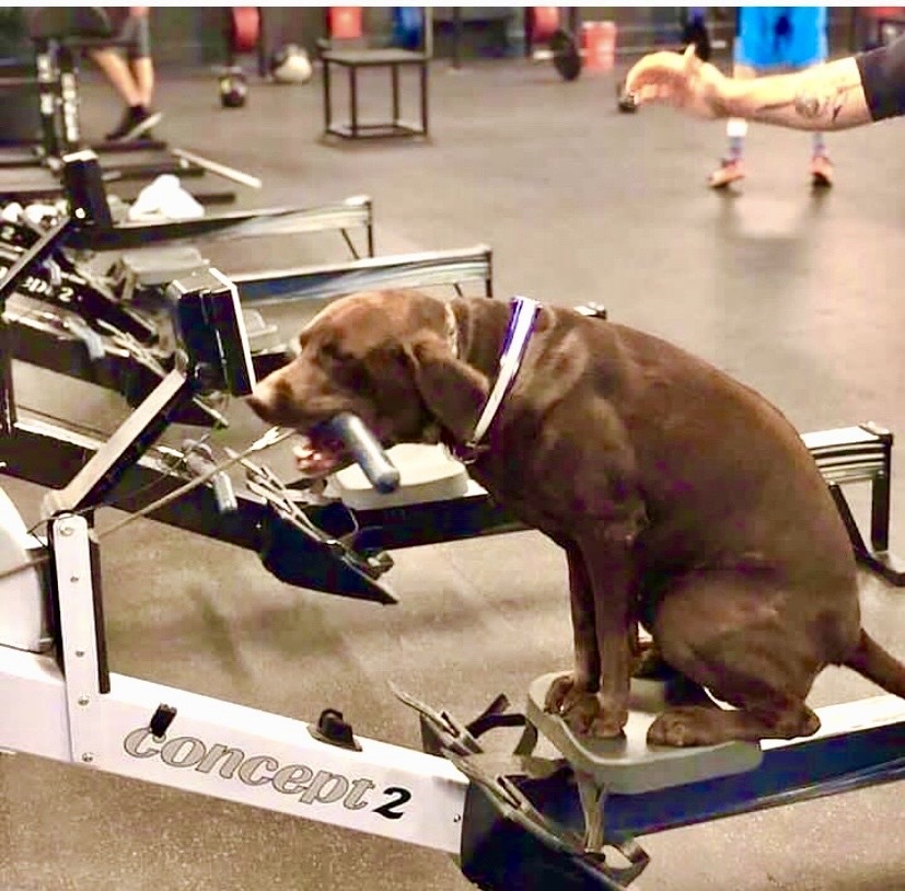 Entraînement Ergo au club - Jeudi 26 Mars  - 19h00