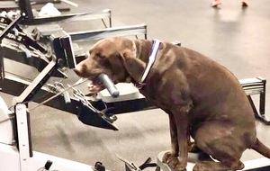 Entrainement Ergo - Jeudi 20 Novembre - 19h00