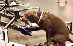 Entraînement Ergo au club - Jeudi 26 Mars  - 19h00