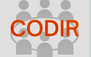 Réunion n°27 du C.O.D.I.R. - Lundi 21 Septembre